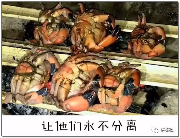 欺骗全网！这畜生被誉为中国最爱老婆，实际却为兽欲诱拐少女（组图） - 32