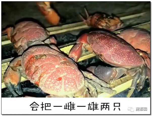 欺骗全网！这畜生被誉为中国最爱老婆，实际却为兽欲诱拐少女（组图） - 12