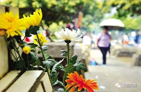 本周末江阴迎祭扫高峰 倡导文明祭扫