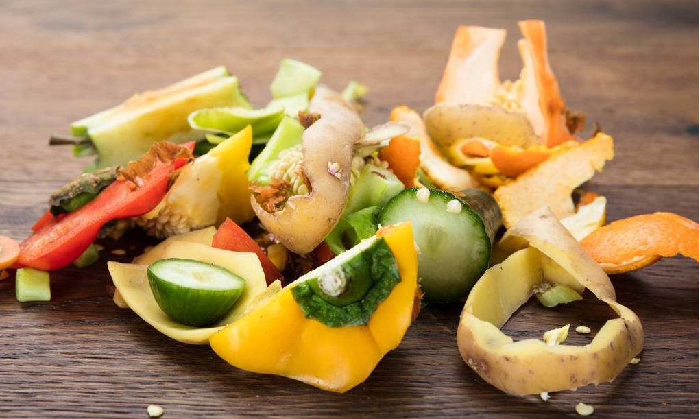 荷兰人靠"垃圾"赚钱?