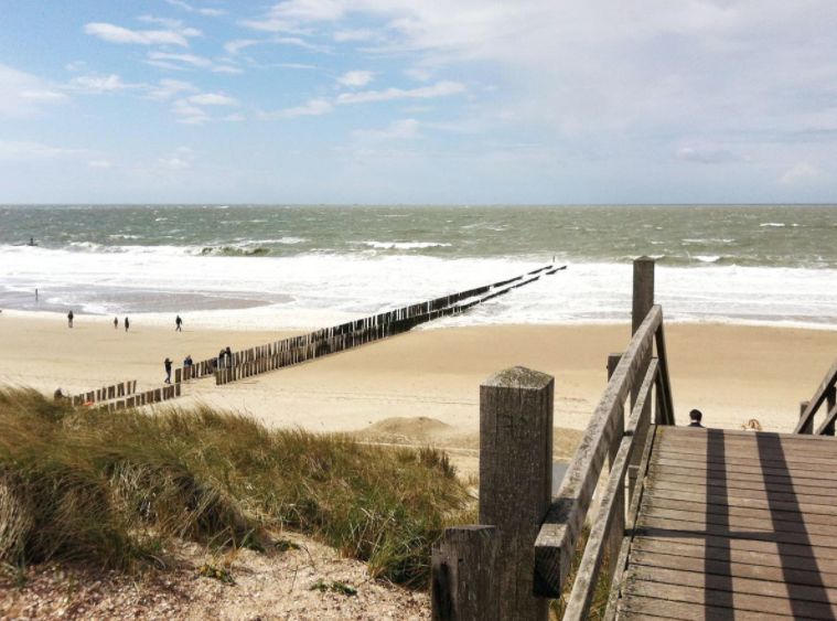 日光浴最适宜的地方,但不要以为安静意味着人少,它可是很受荷兰本地人