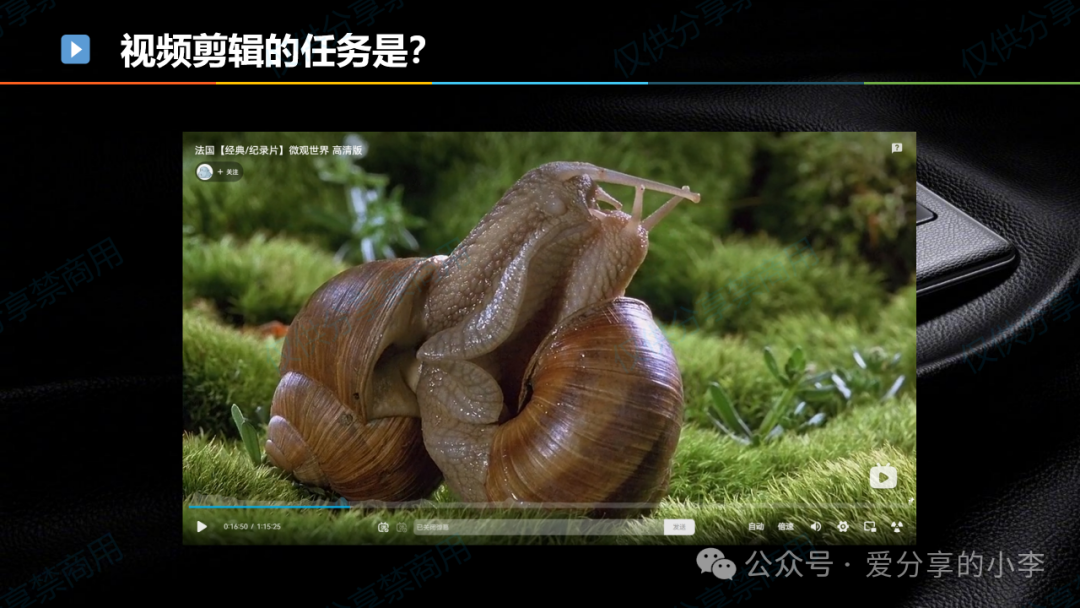 短视频制作·剪辑篇