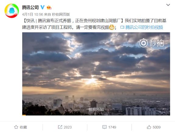 致富经养鹅视频_致富经养鹅视频_致富经养鹅视频
