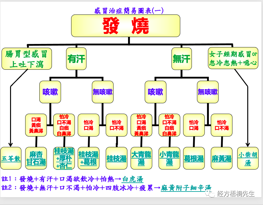 运用中成药治疗感冒