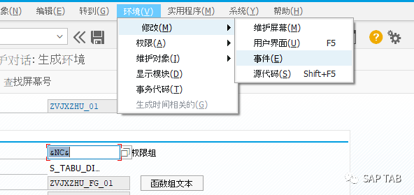 ABAP 随笔 SM30常见增强操作自动带描述等 - 封面图