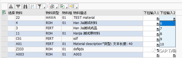ABAP 随笔 ALV 上的下拉框 - 封面图