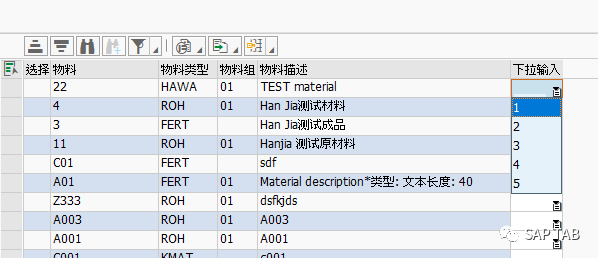 ABAP 随笔 ALV 上的下拉框 - 封面图