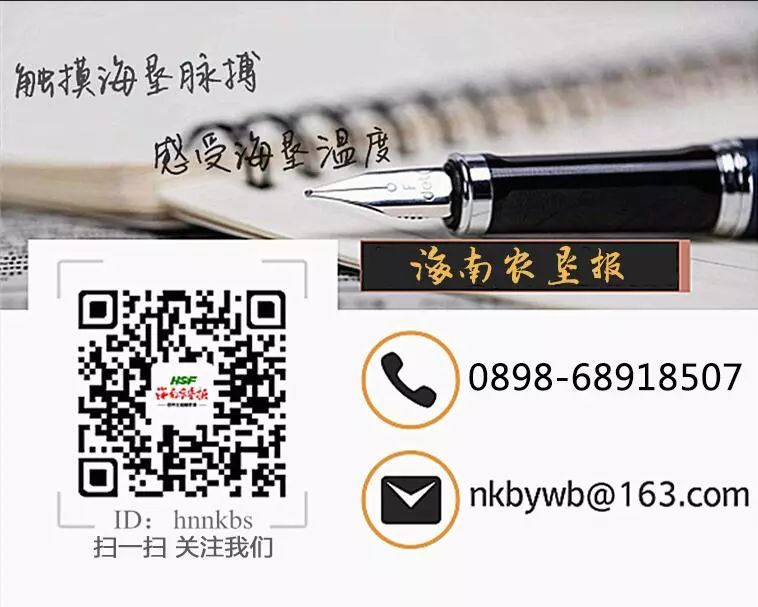 致富经养龟_致富经乌龟养殖场的视频_养乌龟致富