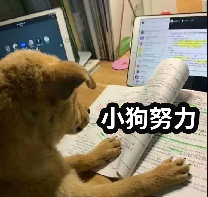 6668�ף��������й��ⷿ���������ܿ������룡