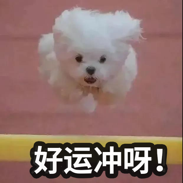 6668�ף��������й��ⷿ���������ܿ������룡