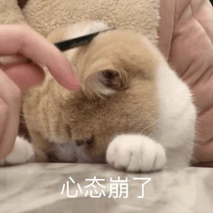 别再露脚踝了，2021年春天“露袜子”才是真的时髦炸了！