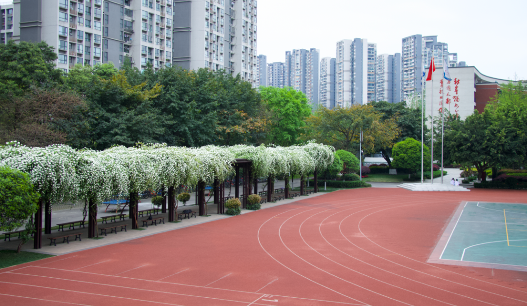 4.png 图片