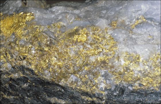 意识是物质或非物质_dmap是什么化学物质_物质和物质形态关系是