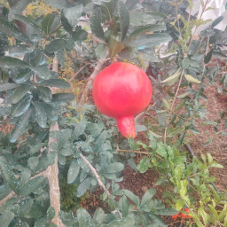 花湖宏胜标识
