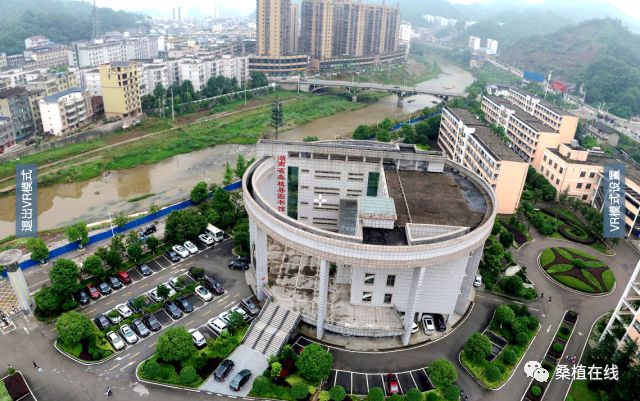 我在空中看家乡第十七期桑植一中