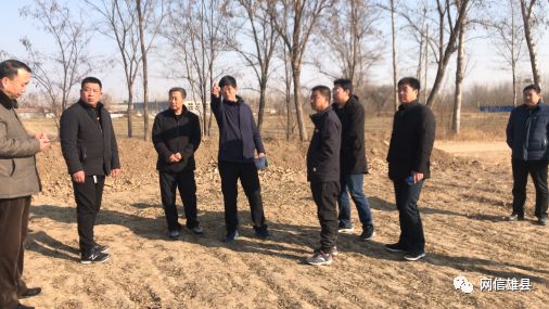 雄县人民政府——七间房乡顺利完成2019年春季植树造林占地征用工作