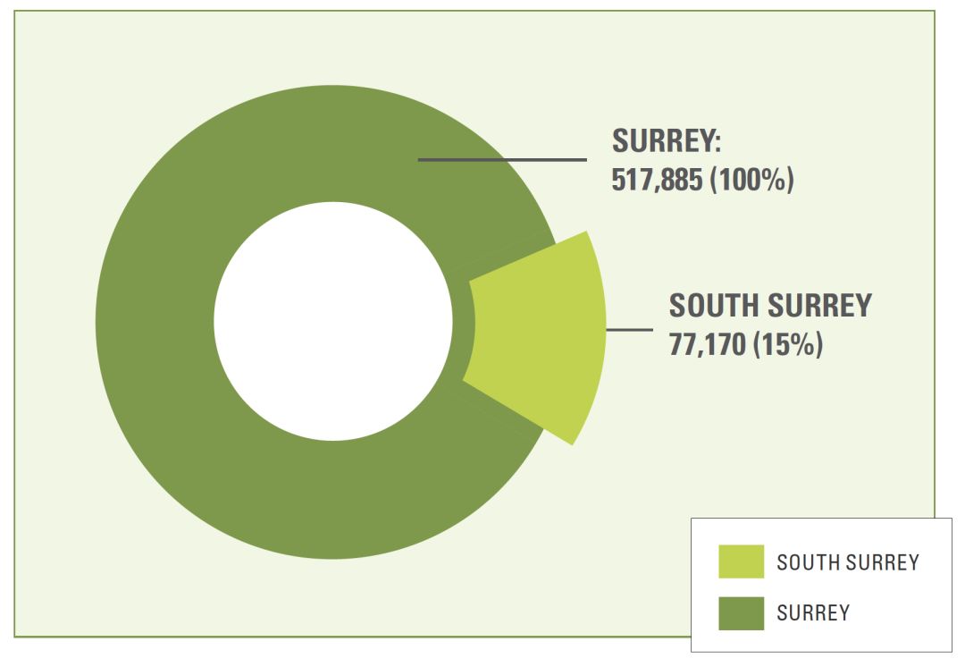 省的海滨魅力小城 南素里 白石镇 为什么如此受新移民欢迎