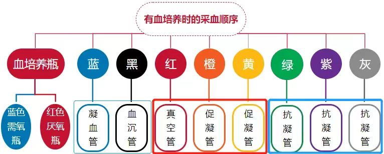 采血管颜色代表什么冷知识！五颜六色的采血管背后的秘密你知道吗？_https://www.jmylbn.com_新闻资讯_第4张