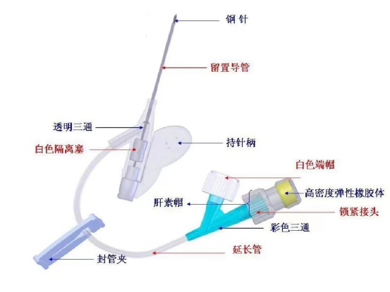 为什么输血不能用小针手术室里的留置针，“针”有讲究！_https://www.jmylbn.com_新闻资讯_第3张