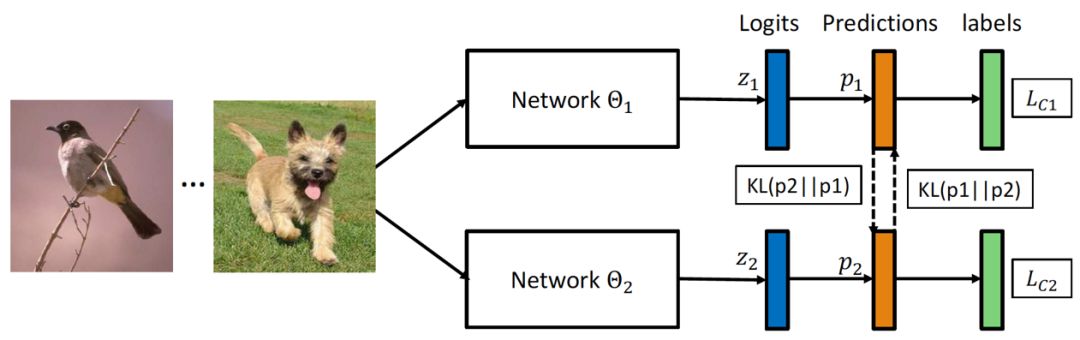 深度互學習-Deep Mutual Learning：三人行必有我師