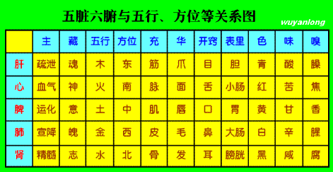 生辰八字测长相_八字测另一半长相系统_八字测配偶长相