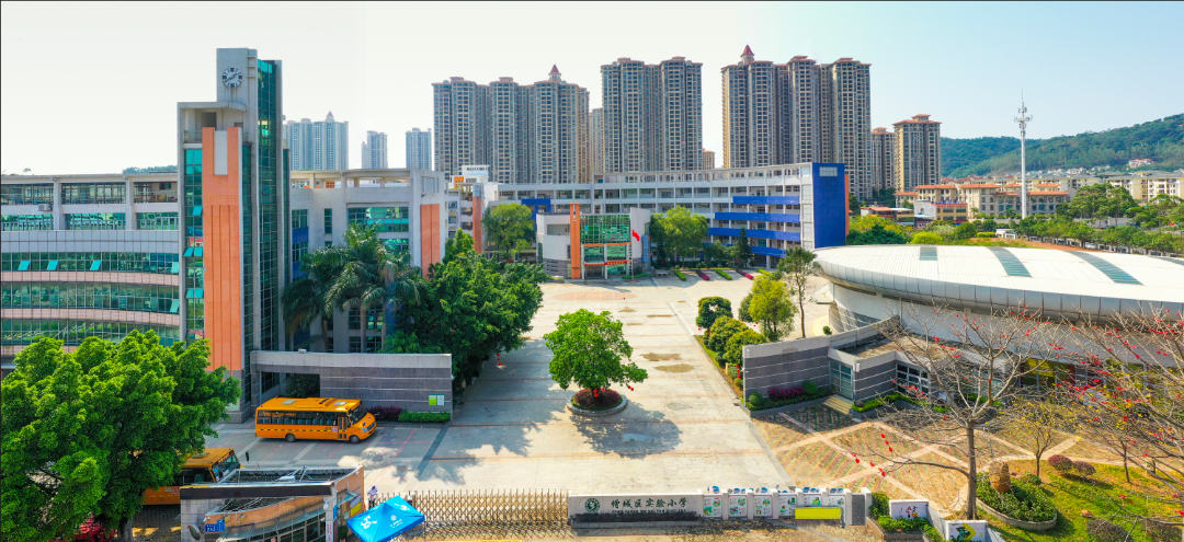 增城买房，想要学校好到底应该怎么买？！