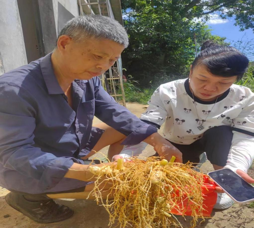 企业服务年 | 湘潭市食药检所深入韶山开展精准技术帮扶__企业服务年 | 湘潭市食药检所深入韶山开展精准技术帮扶