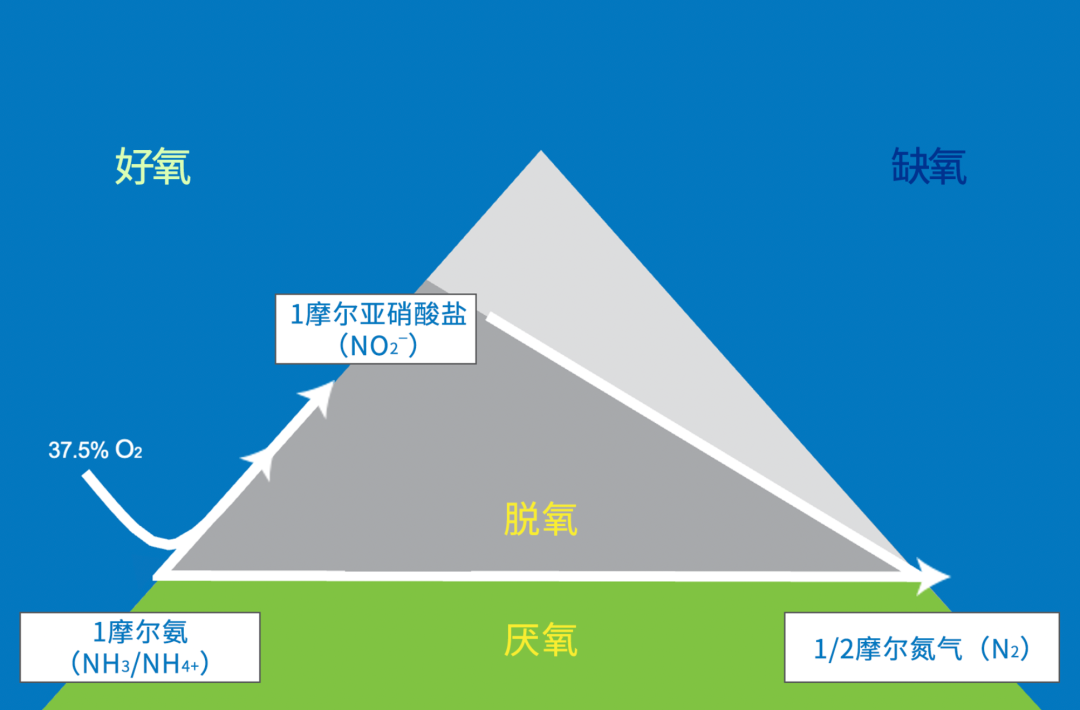 廢水處理過程監(jiān)測應(yīng)用 | 紫外-可見分光光度傳感器