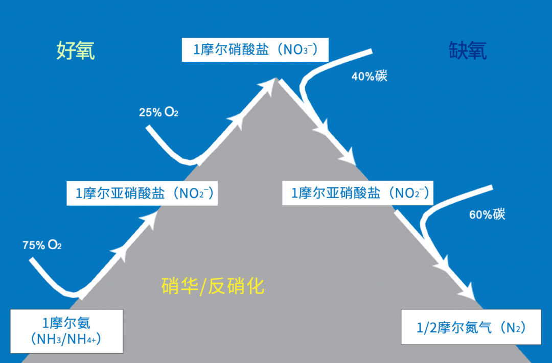 廢水處理過程監(jiān)測應(yīng)用 | 紫外-可見分光光度傳感器