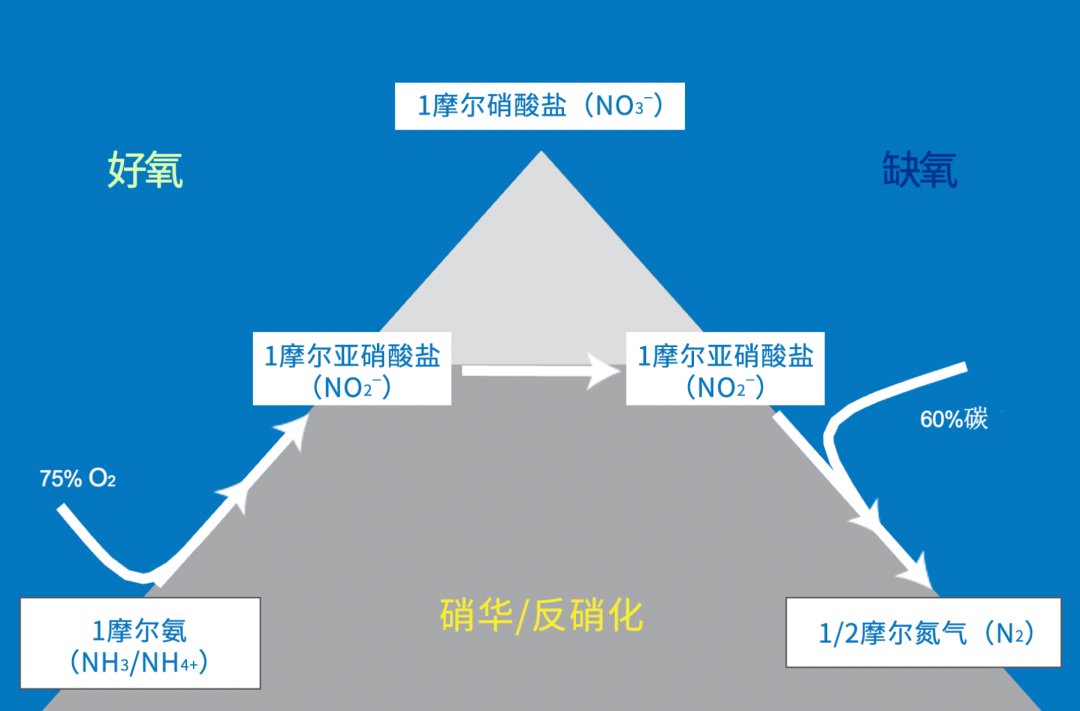 廢水處理過程監(jiān)測應(yīng)用 | 紫外-可見分光光度傳感器