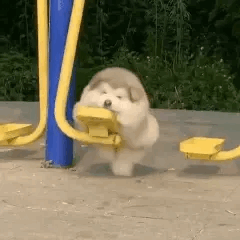 微信小程序真是个好东西啊