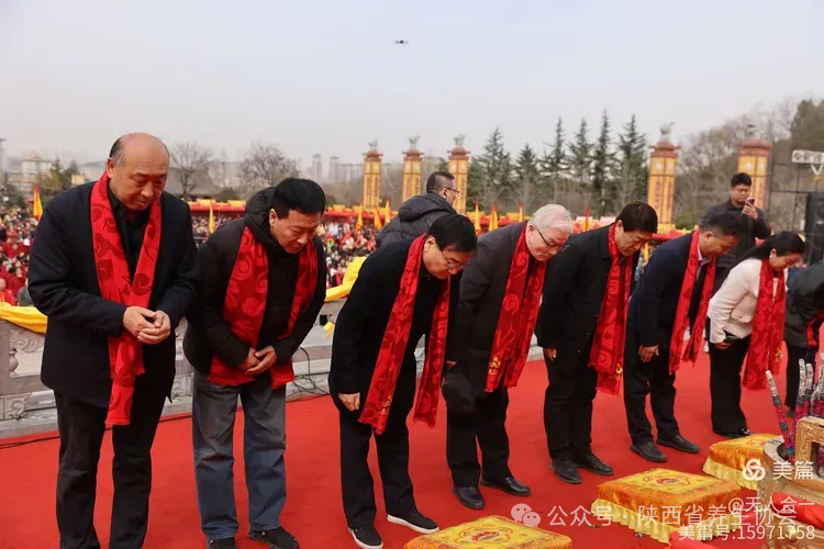 I2ZmZmZmZg_750_0_0_0_q80 (10).jpg