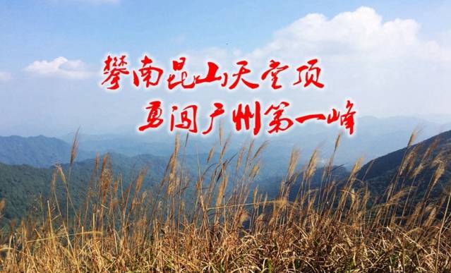 (1)【从化十登】10.28（周六）攀登广州第一峰—从化天堂顶 赏金色芦荡-户外活动图-驼铃网