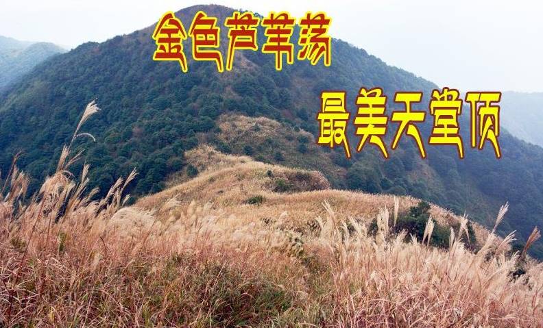 (3)【从化十登】10.28（周六）攀登广州第一峰—从化天堂顶 赏金色芦荡-户外活动图-驼铃网