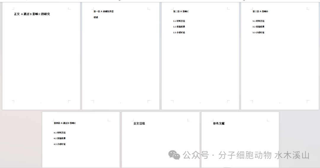 msa是什么意思