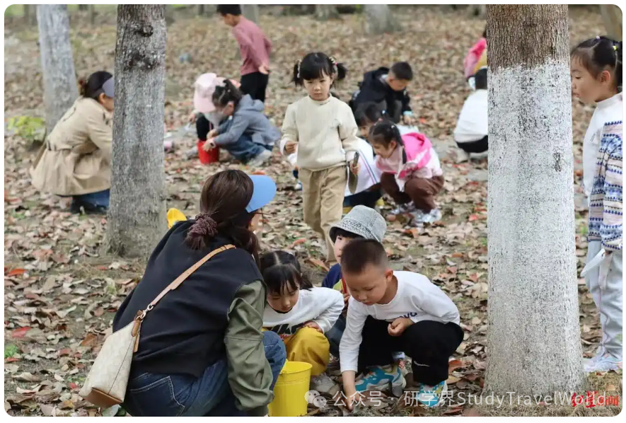 春假+清明6天连休带火研学热，成都有机构单日客流增长近10倍