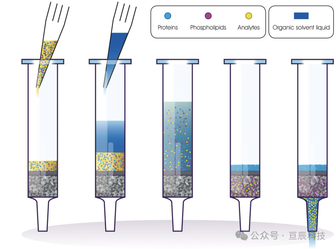 PLR 25 mg 孔板-Porvair