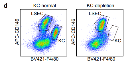 氯膦酸二鈉脂質(zhì)體巨噬細(xì)胞清除劑小鼠肝臟巨噬細(xì)胞清除解決方案-Nature Commun