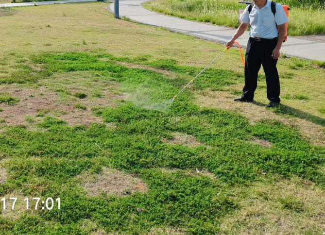 草坪除草剂大全_草坪除草剂_草坪除草剂的使用方法