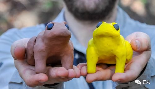 3D列印技術幫助動物交配，科技完成了生命的大和諧 科技 第23張