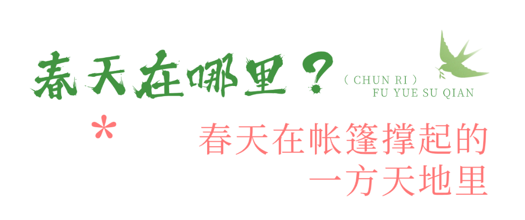 春天在哪里？宿迁告诉你 (1).png