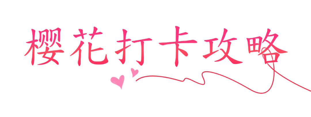 画板 1 拷贝 2.png