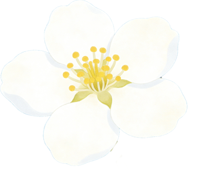 生成闺蜜自拍插画 (6)(1).png