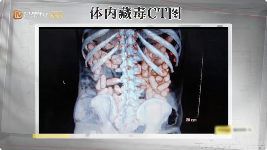江苏卫视《围猎》今日开播