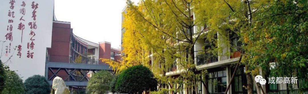 创建新优质学校的经验_建设创新建_新优质学校创建心得体会