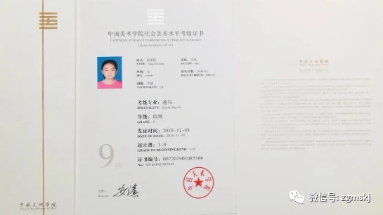 美術(shù)國(guó)家承認(rèn)哪些藝術(shù)考級(jí)_國(guó)家承認(rèn)的美術(shù)考級(jí)_美術(shù)類考級(jí)國(guó)家認(rèn)可的