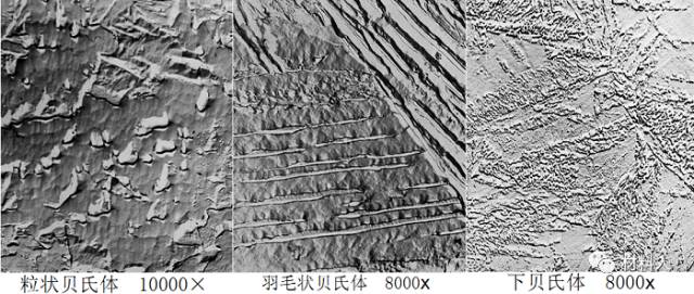 一文识尽金相组织的图6