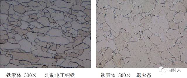 一文识尽金相组织