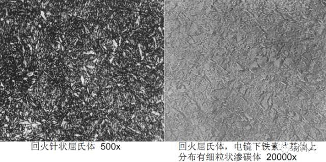 一文识尽金相组织的图10