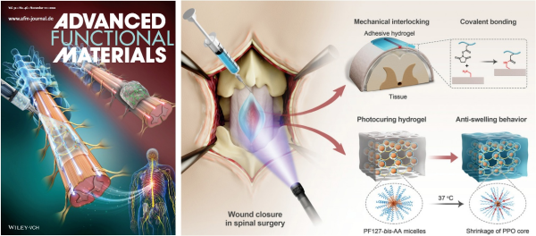 水凝胶近期突破性成果梳理的图3